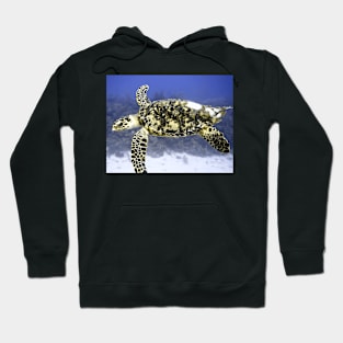 Hawksbill Sea Turtle Hoodie